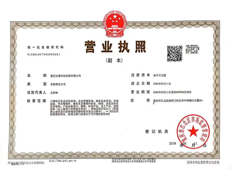 China Chongqing Big Science &amp; Technology Development Co., Ltd. Certificaten